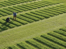 Innovative Grass Solutions