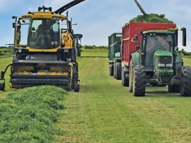 Go Softly for the First Silage Cut