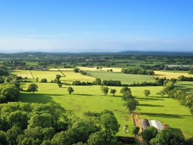 Farm Reasons To Reseed