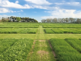 Grassland Index Guide Header