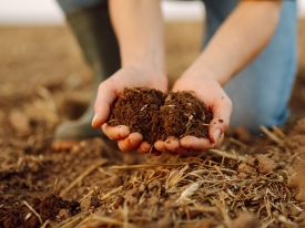 Why You Should Really Know Your Soil