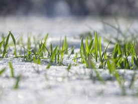 Winter Fields Maintenance Checklist
