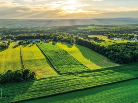 Farm Fodder Flow Go With The Flow