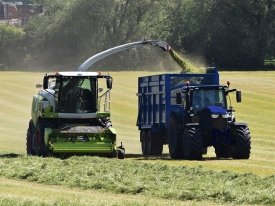 Silage