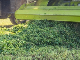 Silage