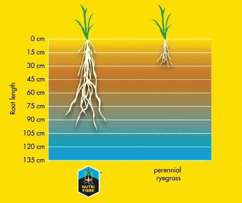 ag_product_nutrifibre_figure1.jpg