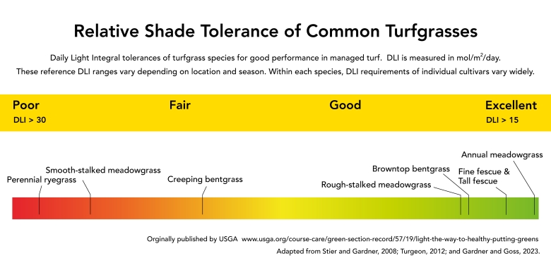 Sport Relative Shade Tolerance of Common Turfgrasses USGA