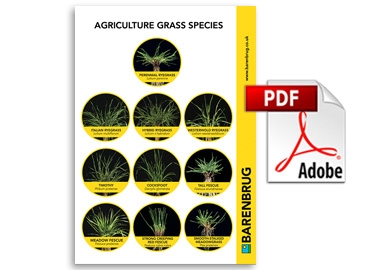 Agricultural Grass Species Chart 
