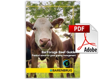Agriculture Beef Guide thumbnail