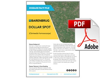 Factfile Dollar Spot thumbnail