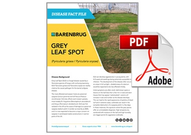 Factfile Grey Leaf Spot thumbnail