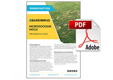 Factfile Microdochium Patch thumbnail