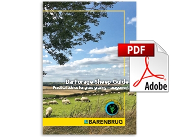 Agriculture Sheep Guide thumbnail