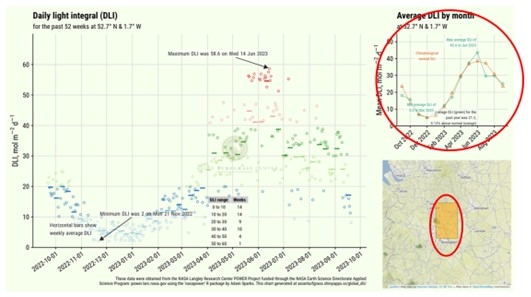 DLI Measurements Graph1 Bank On Browntop For Sustainable Overseeding