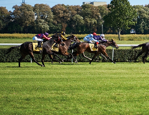 Racecourses Sports Products