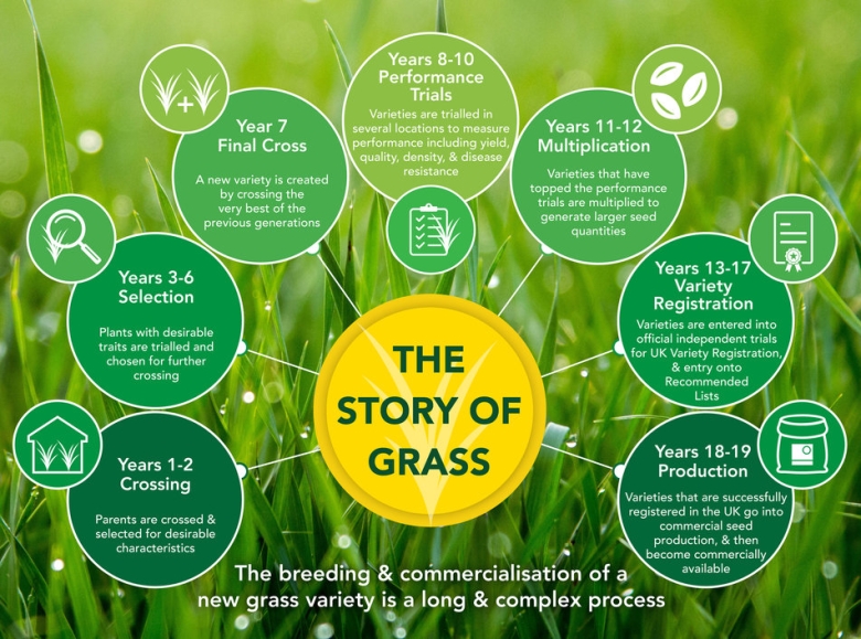 Story of Grass Infographic