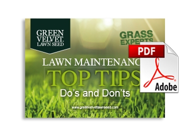 Do's and Don'ts of Lawn Maintenance Top Tips