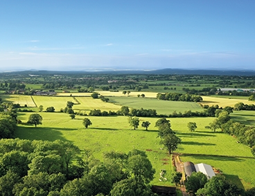 Farm Agriculture