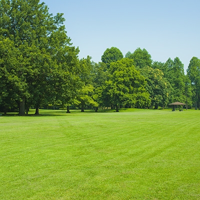 Homepage portal entrance image for Landscaping