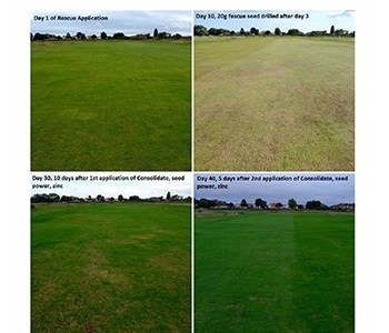 Royal Cinque Ports Course Testimonial image