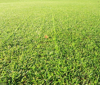 Royal Cinque Ports Course Testimonial image