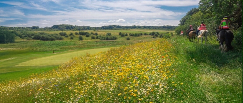 Farleigh Golf Club - Portal Image - Testimonials