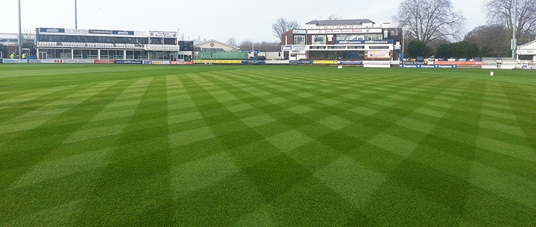 Essex County Cricket Club Sport Testimonial Portal image