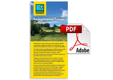 Environmental Forage Options Leaflet