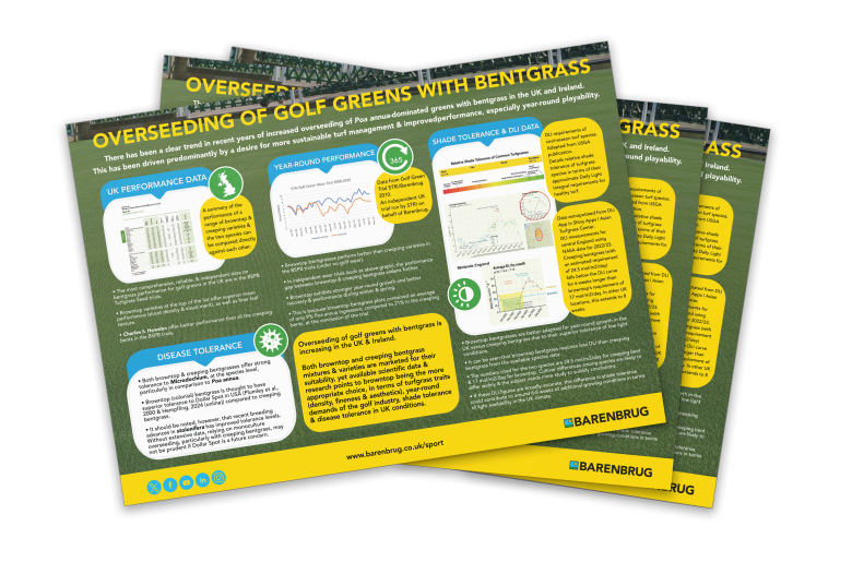 Overseeding Bentgrass Infographic
