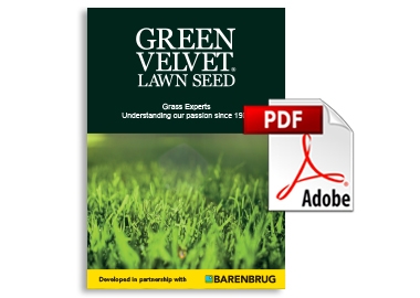 Green Velvet product guide
