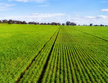 Knowledge Hub Agriculture