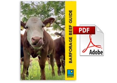 Beef Guide