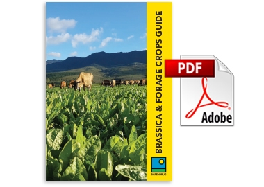 Brassica and Forage crop guide