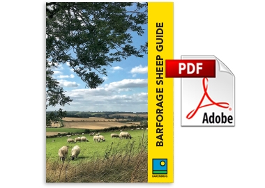 Sheep Guide