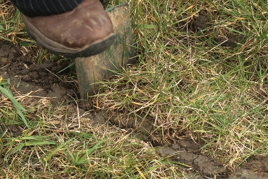 4 Steps Step2 Think Soils