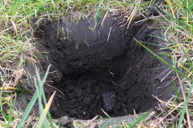 4 Steps Step2 Think Soils