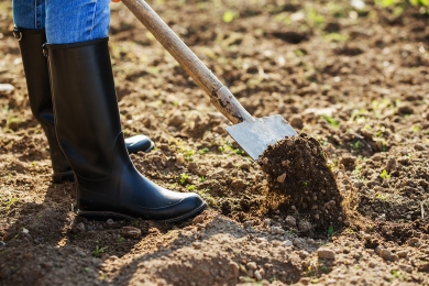 Soil Reseeding For Fields Beyond Repair