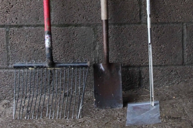 Tools Managing Your Paddock