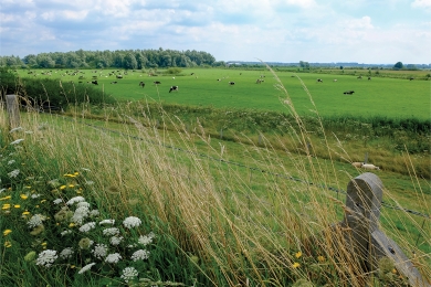Environmental Check 'Made for SFI' seed mixtures carefully