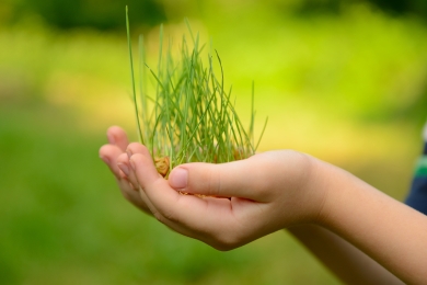 Grass Potential