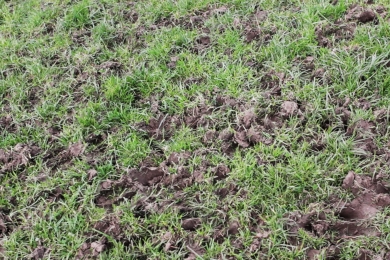 Index2 Field Grassland Index Guide