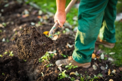 Soil First