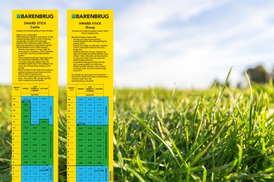 Sward Stick