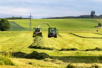 Silage System