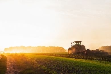 Nutritional Balance Soil Management & Nutrition