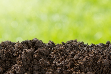 Soil Fundamentals