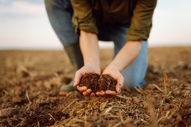 Soil Management & Nutrition