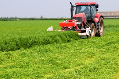 Cutting Silage