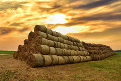 Grass Baled Silage