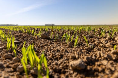 Soil Management Plan